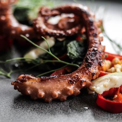 Octopus dish with herbs
